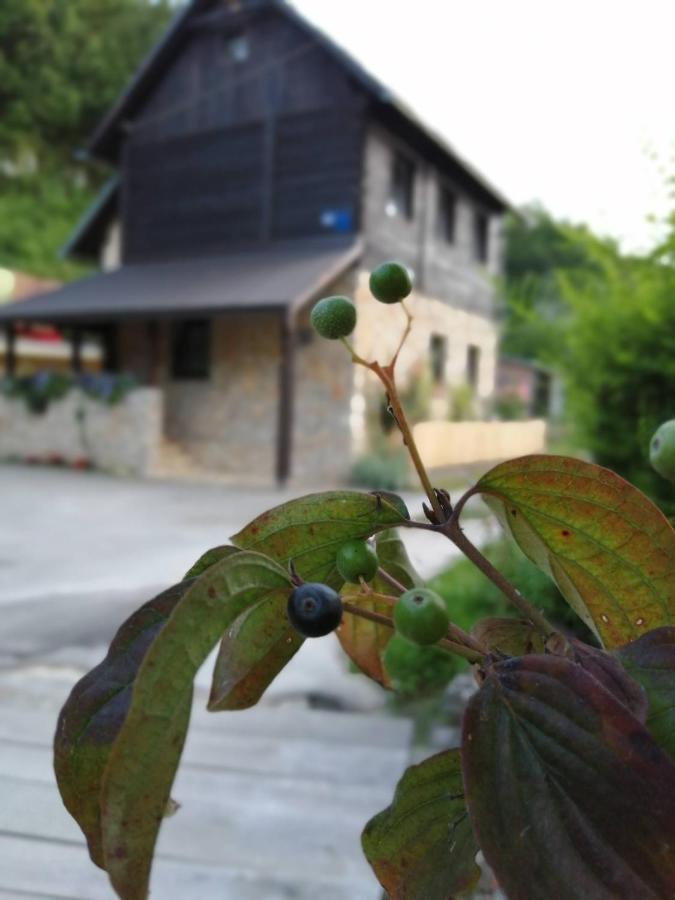 Appartement House Marijan à Korana Extérieur photo